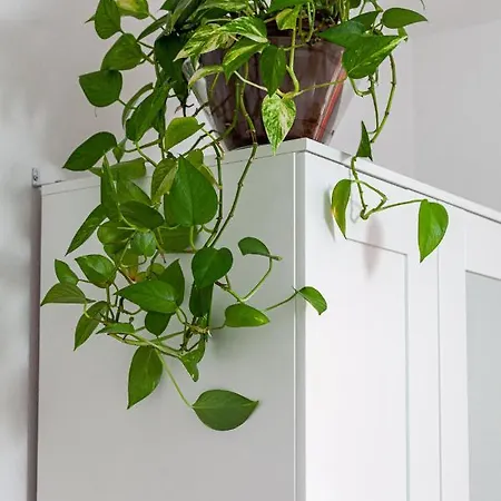 Casa Ignazia In Apartamento Lajares