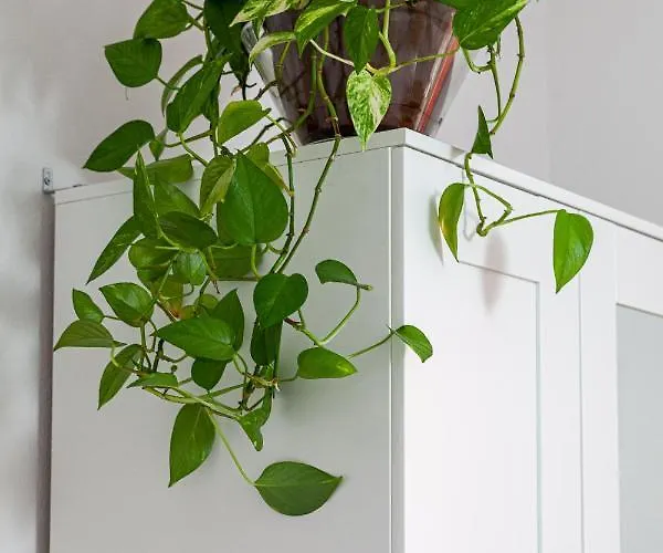 Casa Ignazia In Apartment Lajares